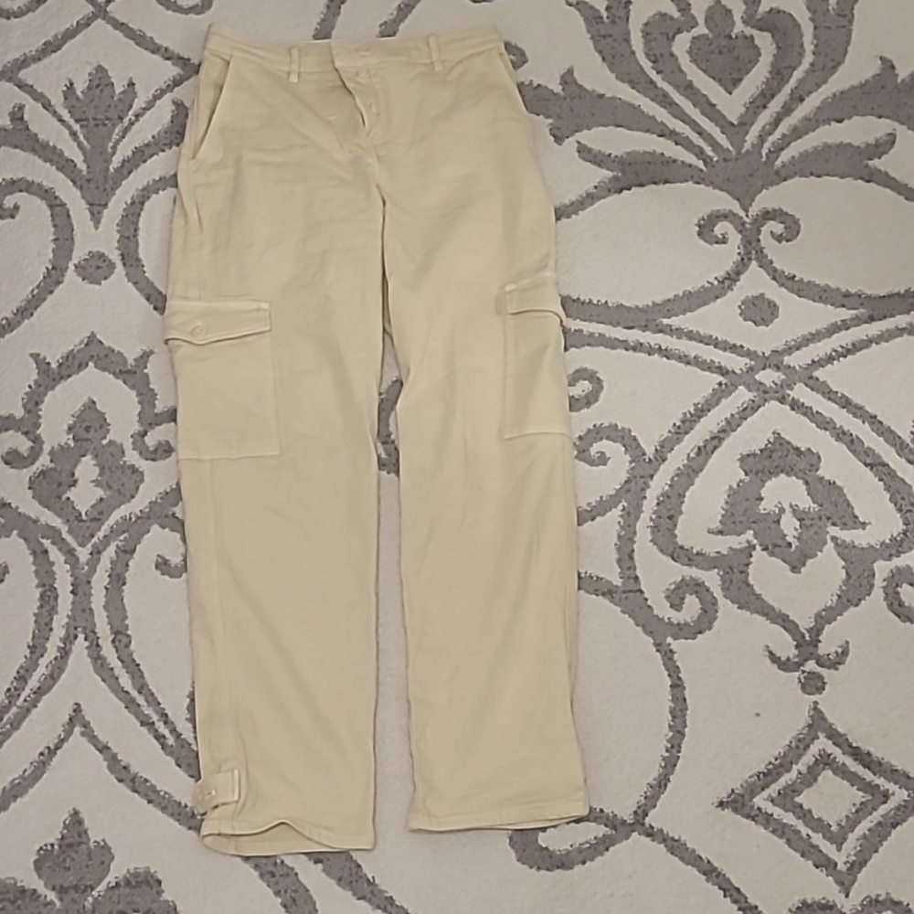 Aritzia (Wilfred free) modern cargo pants